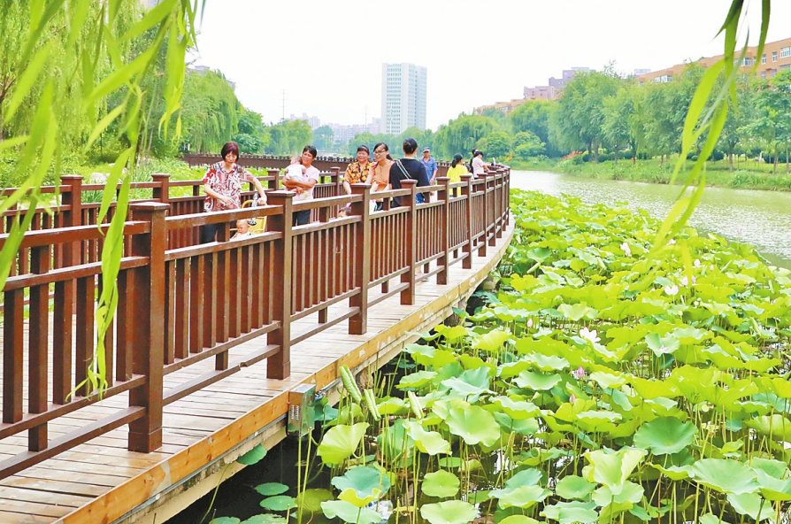 泛亚电竞官网-“绣”出城市管理新景致(图1)