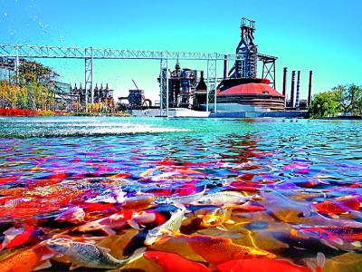 �ö����Ų������ͷ��Ļ�����