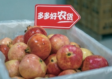 ϵ̿쳵ʯ񲻳
