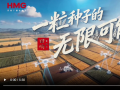 ����Oһ�����ӵ����޿���